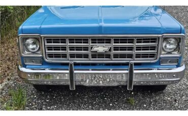 Chevrolet-Suburban-1978-9