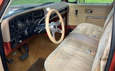 Chevrolet-Suburban-1978-Brown-14