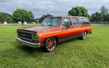 Chevrolet-Suburban-1978-Brown-21