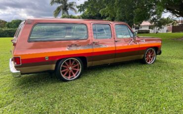 Chevrolet-Suburban-1978-Brown-4