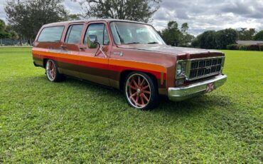 Chevrolet-Suburban-1978-Brown-5