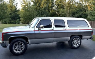 Chevrolet-Suburban-1989-Silver-Blue-11