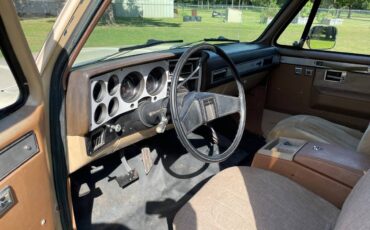 Chevrolet-blazer-12-ton-nominal-1988-brown-13