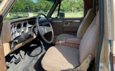 Chevrolet-blazer-12-ton-nominal-1988-brown-15