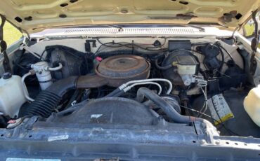 Chevrolet-blazer-12-ton-nominal-1988-brown-18
