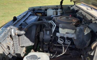 Chevrolet-blazer-12-ton-nominal-1988-brown-19
