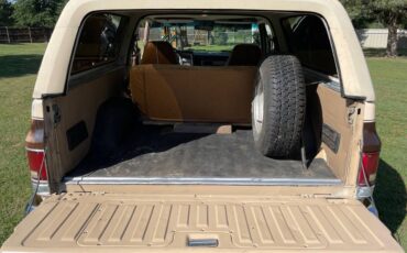 Chevrolet-blazer-12-ton-nominal-1988-brown-3