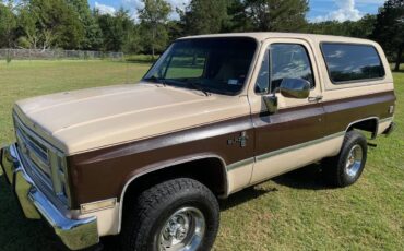 Chevrolet-blazer-12-ton-nominal-1988-brown