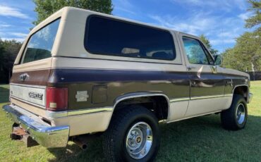 Chevrolet-blazer-12-ton-nominal-1988-brown-4