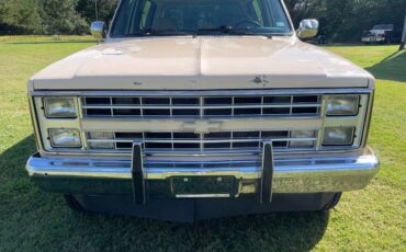 Chevrolet-blazer-12-ton-nominal-1988-brown-5