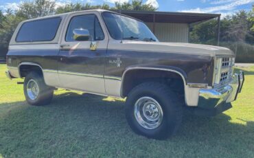 Chevrolet-blazer-12-ton-nominal-1988-brown-6