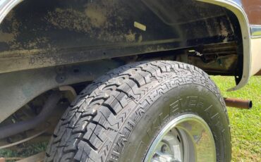 Chevrolet-blazer-12-ton-nominal-1988-brown-8