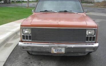 Chevrolet-c-10-1981-custom-4