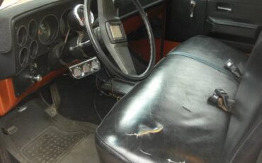 Chevrolet-c-10-1981-custom-6