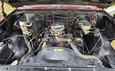 Chevrolet-c10-1984-4