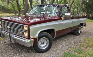 Chevrolet-c10-1984-6