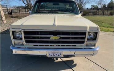 Chevrolet-c10-pickup-1978-1