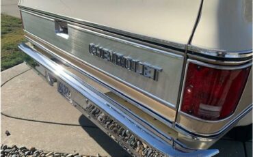 Chevrolet-c10-pickup-1978-10