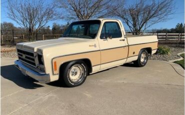 Chevrolet-c10-pickup-1978-12