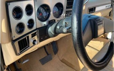 Chevrolet-c10-pickup-1978-14