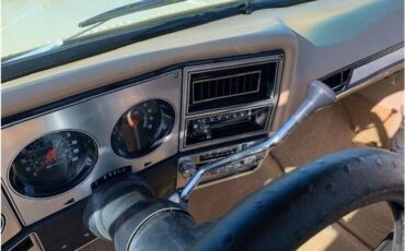 Chevrolet-c10-pickup-1978-17