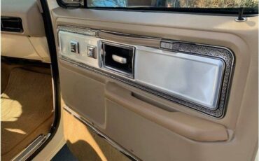 Chevrolet-c10-pickup-1978-18