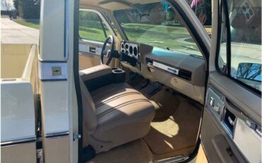 Chevrolet-c10-pickup-1978-19