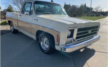 Chevrolet-c10-pickup-1978-2