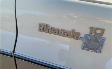 Chevrolet-c10-pickup-1978-20