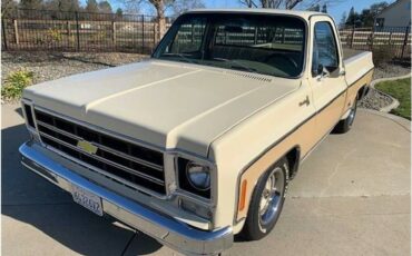 Chevrolet-c10-pickup-1978-21
