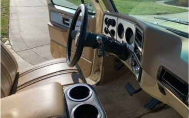 Chevrolet-c10-pickup-1978-22