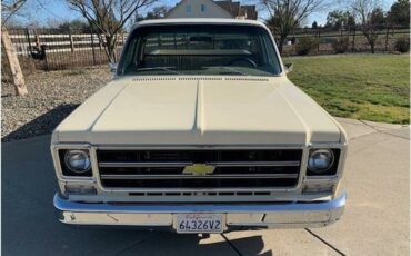 Chevrolet-c10-pickup-1978-3