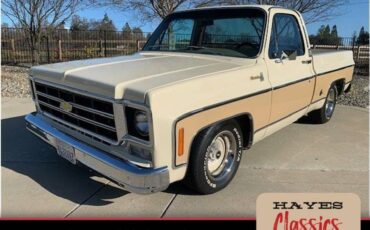 Chevrolet-c10-pickup-1978
