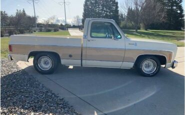 Chevrolet-c10-pickup-1978-4