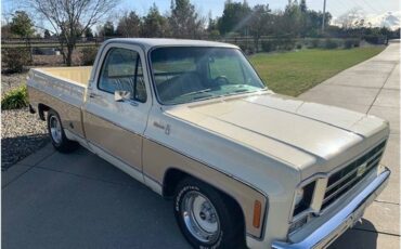 Chevrolet-c10-pickup-1978-5