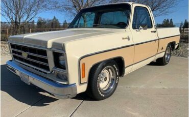 Chevrolet-c10-pickup-1978-6