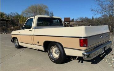 Chevrolet-c10-pickup-1978-7
