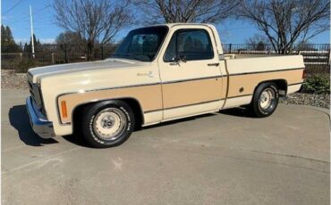 Chevrolet-c10-pickup-1978-8