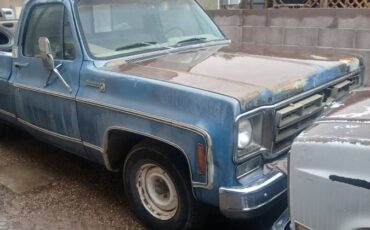 Chevrolet-c10-pickup-1978-blue-2