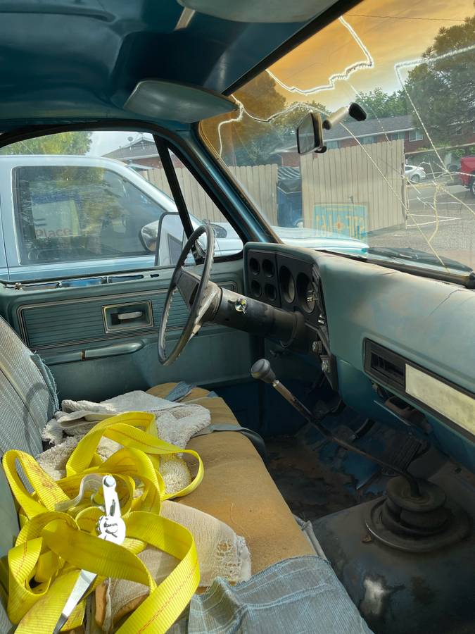 Chevrolet-c10-pickup-1978-blue-4