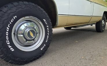 Chevrolet-c20-1975-brown-1