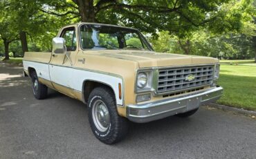Chevrolet-c20-1975-brown-11