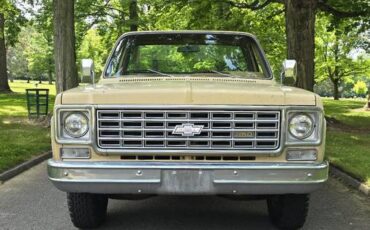 Chevrolet-c20-1975-brown-12