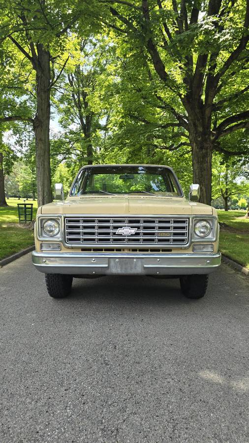 Chevrolet-c20-1975-brown-12