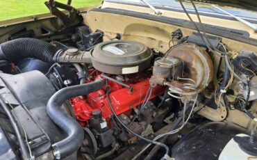 Chevrolet-c20-1975-brown-13