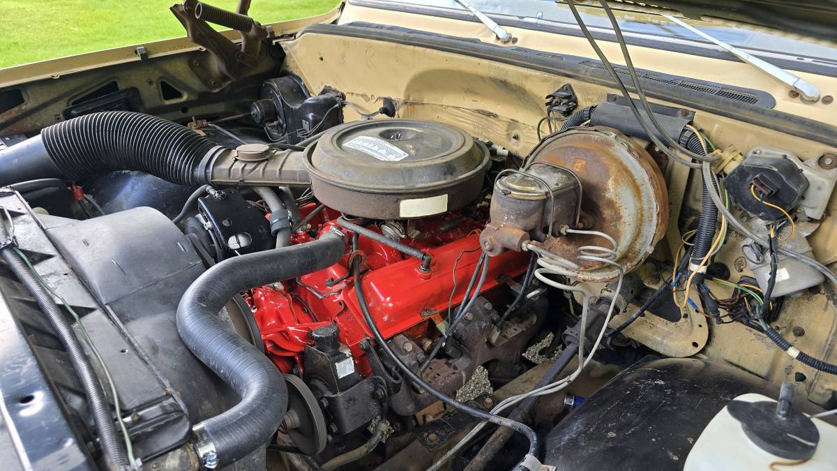 Chevrolet-c20-1975-brown-13