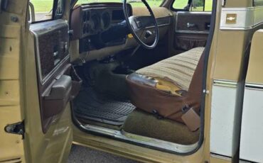Chevrolet-c20-1975-brown-16