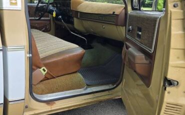 Chevrolet-c20-1975-brown-18