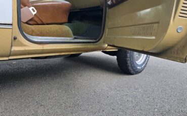 Chevrolet-c20-1975-brown-19