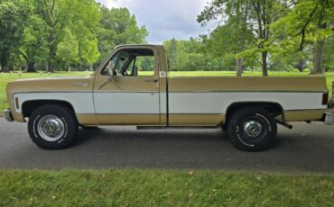 Chevrolet-c20-1975-brown-2
